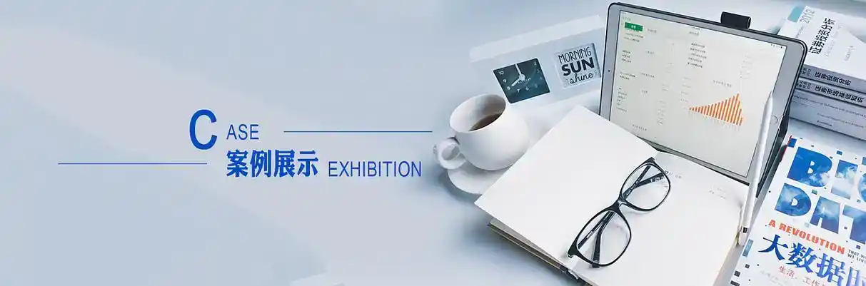 汤原县软件开发